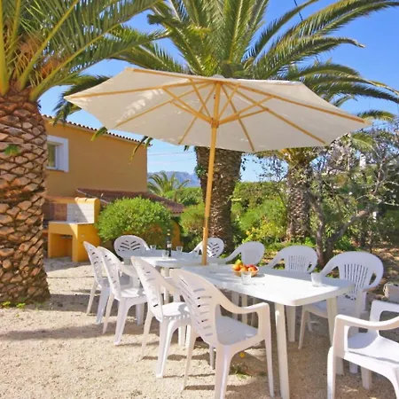 Carrio Park Palm - 105012