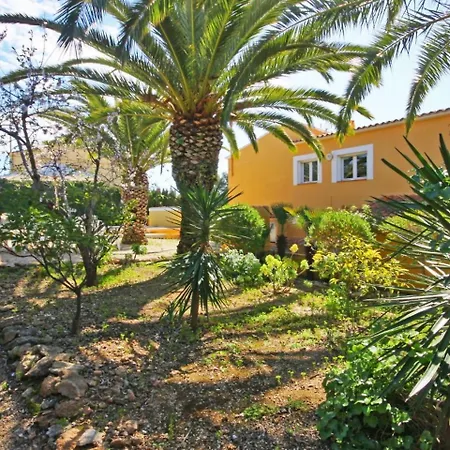 Carrio Park Palm - 105012 *
